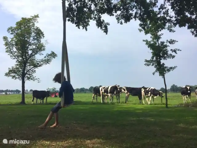 Helemaal buiten, midden op het platteland.